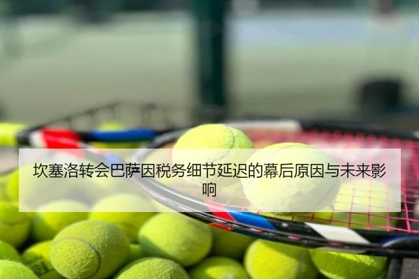 坎塞洛转会巴萨因税务细节延迟的幕后原因与未来影响
